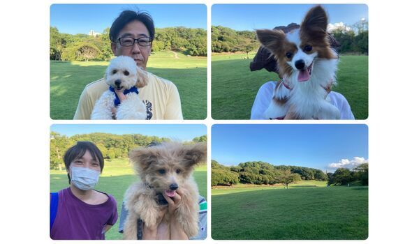 犬のしつけ教室・出張レッスン・無駄吠えの矯正レッスンを行うドッグスクール ヴィッセの今日のわん子達です。～8月12日 