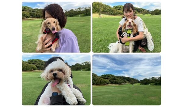 犬のしつけ教室・出張レッスン・無駄吠えの矯正レッスンを行うドッグスクール ヴィッセの今日のわん子です。～8月31日～ 