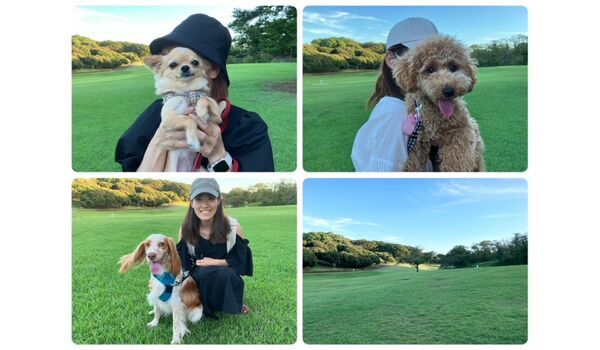 犬のしつけ教室・出張レッスン・無駄吠えの矯正レッスンを行うドッグスクール ヴィッセの今日のわん子達です。～9月14日～