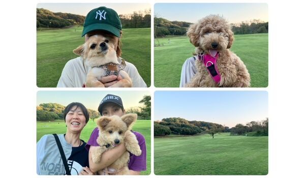 犬のしつけ教室・出張レッスン・無駄吠えの矯正レッスンを行うドッグスクール ヴィッセの今日のわん子達。～9月28日～