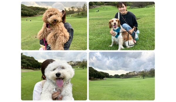 犬のしつけ教室・出張レッスン・無駄吠えの矯正レッスンを行うドッグスクール ヴィッセの今日のわん子達。～10月5日 