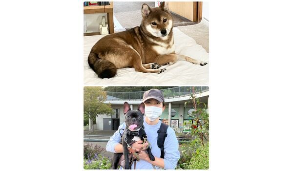 犬のしつけ教室・出張レッスン・無駄吠えの矯正レッスンを行うドッグスクール ヴィッセの今日のわん子達。～10月11日 