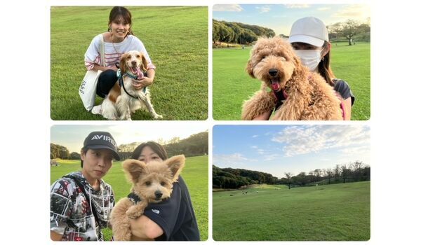 犬のしつけ教室・出張レッスン・無駄吠えの矯正レッスンを行うドッグスクール ヴィッセの今日のわん子達。～10月12日～