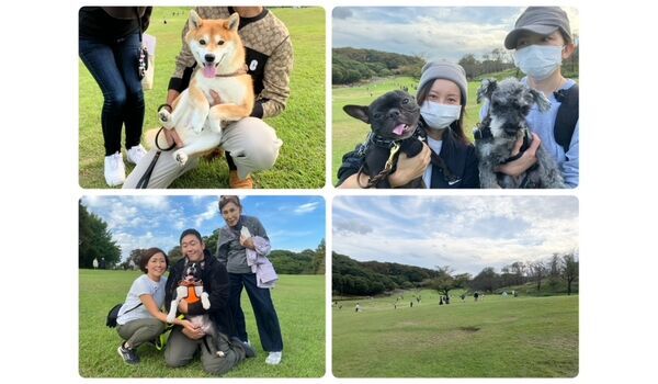 犬のしつけ教室・出張レッスン・無駄吠えの矯正レッスンを行うドッグスクール ヴィッセの今日のわん子達。～10月14日～ 