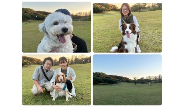 犬のしつけ教室・出張レッスン・無駄吠えの矯正レッスンを行うドッグスクール ヴィッセの今日のわん子達。～10月26日～