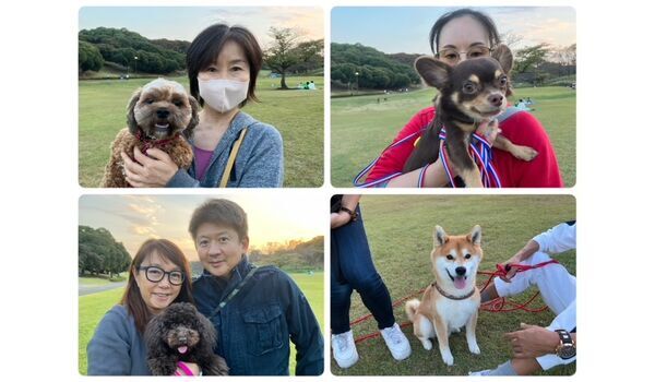 犬のしつけ教室・出張レッスン・無駄吠えの矯正レッスンを行うドッグスクール ヴィッセの今日のわん子達。～10月27日～