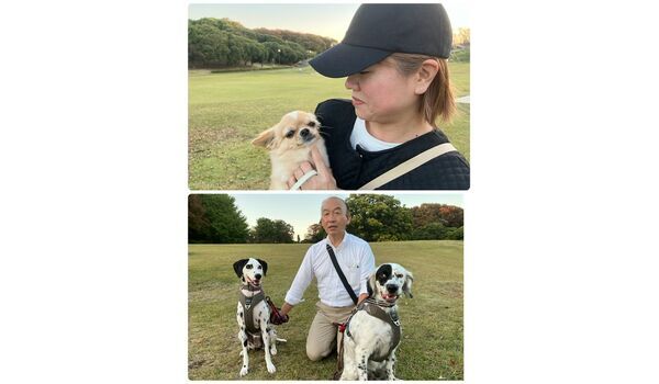 犬のしつけ教室・出張レッスン・無駄吠えの矯正レッスンを行うドッグスクール ヴィッセの今日のわん子達。～11月1日～