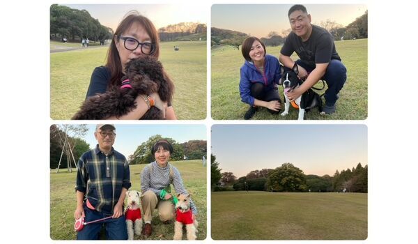 犬のしつけ教室・出張レッスン・無駄吠えの矯正レッスンを行うドッグスクール ヴィッセの今日のわん子達。～11月3日～ 