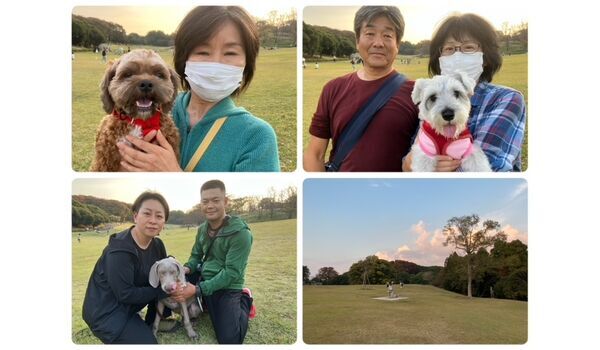 犬のしつけ教室・出張レッスン・無駄吠えの矯正レッスンを行うドッグスクール ヴィッセの今日のわん子達。～11月5日～ 
