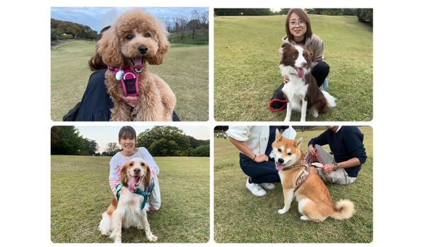 犬のしつけ教室・出張レッスン・無駄吠えの矯正レッスンを行うドッグスクール ヴィッセの今日のわん子達。～11月9日～ 