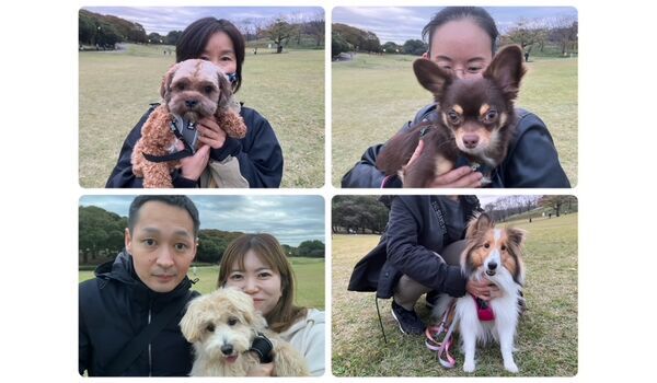 犬のしつけ教室・出張レッスン・無駄吠えの矯正レッスンを行うドッグスクール ヴィッセの今日のわん子達。～11月11日～ 
