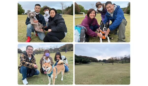 犬のしつけ教室・出張レッスン・無駄吠えの矯正レッスンを行うドッグスクール ヴィッセの今日のわん子達～11月12 日～ 