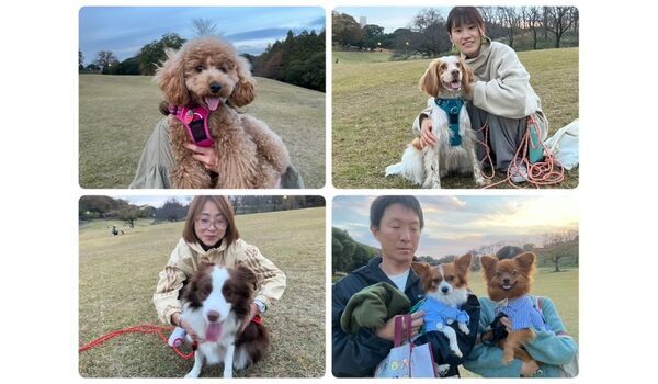 犬のしつけ教室・出張レッスン・無駄吠えの矯正レッスンを行うドッグスクール ヴィッセの今日のわん子達。～11月16日～