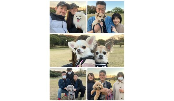 犬のしつけ教室・出張レッスン・無駄吠えの矯正レッスンを行うドッグスクール ヴィッセの今日のわん子達。～11月19日～