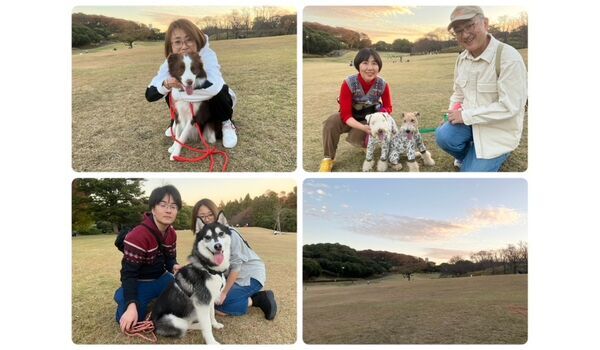 犬のしつけ教室・出張レッスン・無駄吠えの矯正レッスンを行うドッグスクール ヴィッセの今日のわん子達。～11月23日～