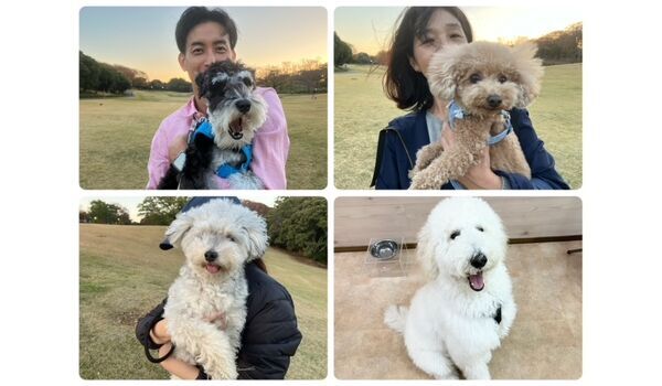 犬のしつけ教室・出張レッスン・無駄吠えの矯正レッスンを行うドッグスクール ヴィッセの今日のわん子達。～11月24日～