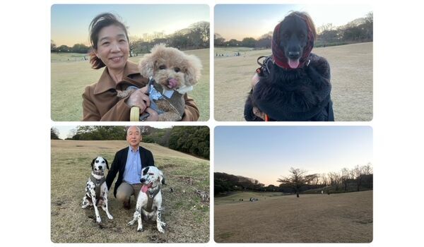 犬のしつけ教室・出張レッスン・無駄吠えの矯正レッスンを行うドッグスクール ヴィッセの今日のわん子達。～11月29日～ 