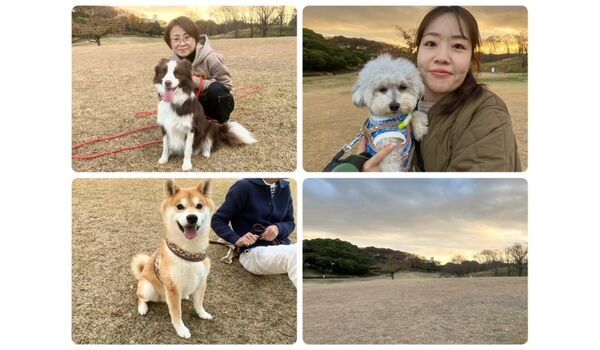 犬のしつけ教室・出張レッスン・無駄吠えの矯正レッスンを行うドッグスクール ヴィッセの今日のわん子達。～11月30日～ 