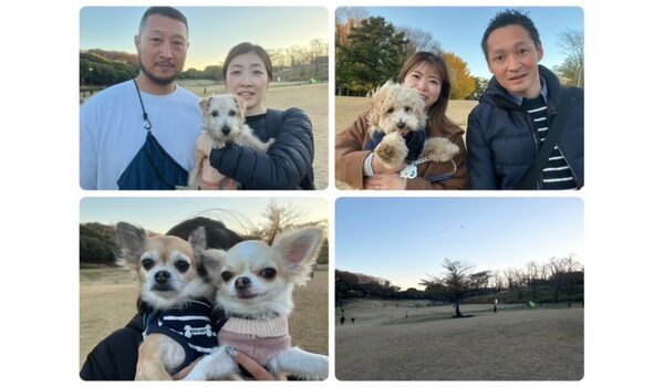 犬のしつけ教室・出張レッスン・無駄吠えの矯正レッスンを行うドッグスクール ヴィッセの今日のわん子達。～12月3日～