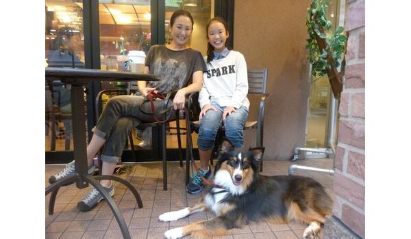 犬のしつけ教室・出張レッスン・無駄吠えの矯正レッスンを行うドッグスクール ヴィッセ～12 月5 日～