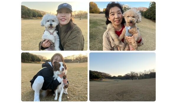 犬のしつけ教室・出張レッスン・無駄吠えの矯正レッスンを行うドッグスクール ヴィッセの今日のわん子達。～12月7日～ 
