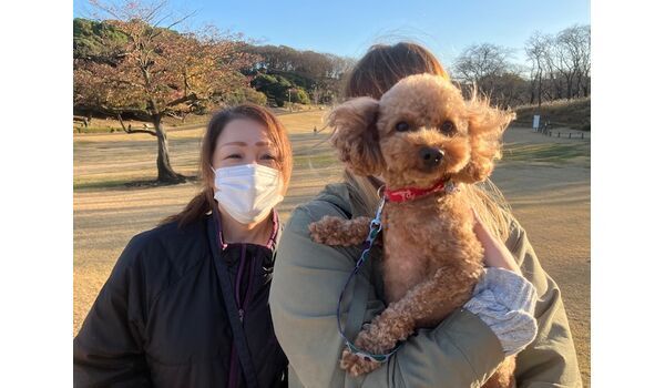 犬のしつけ教室・出張レッスン・無駄吠えの矯正レッスンを行うドッグスクール ヴィッセの今日のわん子。　～12月8日～ 