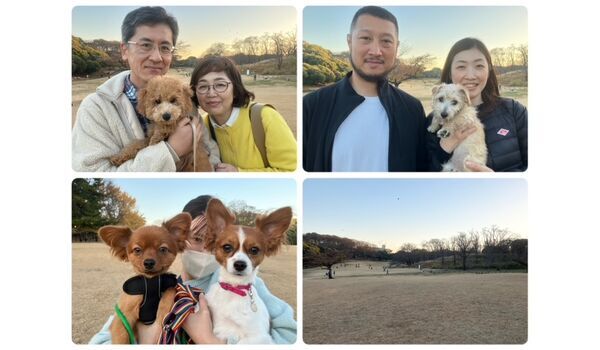 犬のしつけ教室・出張レッスン・無駄吠えの矯正レッスンを行うドッグスクール ヴィッセの今日のわん子達。～12月10日～