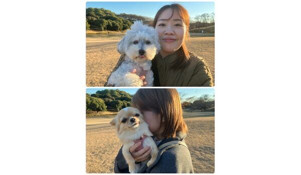 犬のしつけ教室・出張レッスン・無駄吠えの矯正レッスンを行うドッグスクール ヴィッセの今日のわん子達。～12月13日～ 