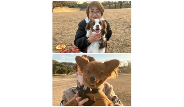 犬のしつけ教室・出張レッスン・無駄吠えの矯正レッスンを行うドッグスクール ヴィッセの今日のわん子達。～12月14日～ 