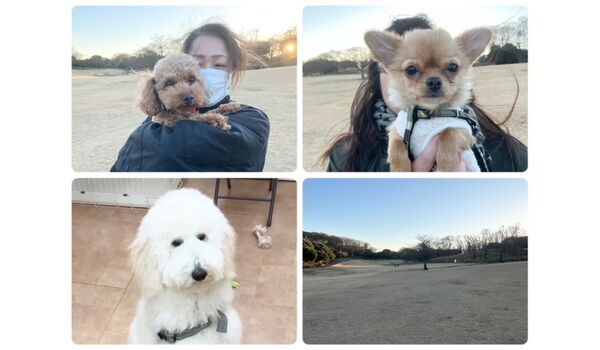 犬のしつけ教室・出張レッスン・無駄吠えの矯正レッスンを行うドッグスクール ヴィッセの今日のわん子達。～12月21日～ 