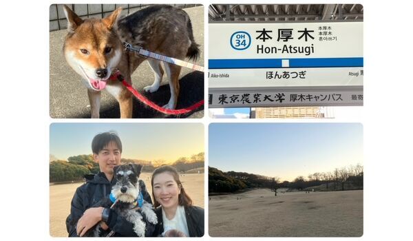 犬のしつけ教室・出張レッスン・無駄吠えの矯正レッスンを行うドッグスクール ヴィッセの今日のわん子達。～12月29日～