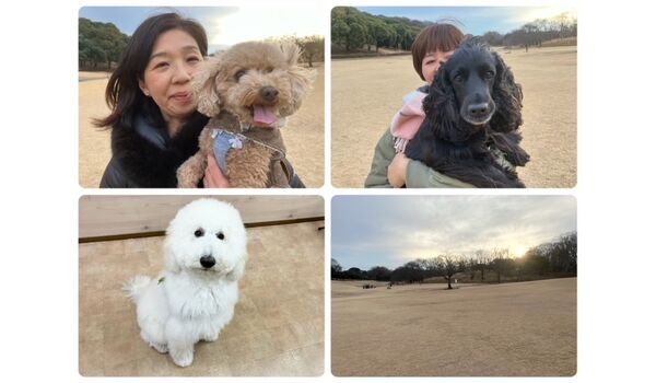 犬のしつけ教室・出張レッスン・無駄吠えの矯正レッスンを行うドッグスクール ヴィッセの今日のわん子達。～1月11日～