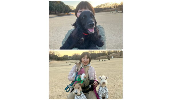 犬のしつけ教室・出張レッスン・無駄吠えの矯正レッスンを行うドッグスクール ヴィッセの今日のわん子達。～1月17日～