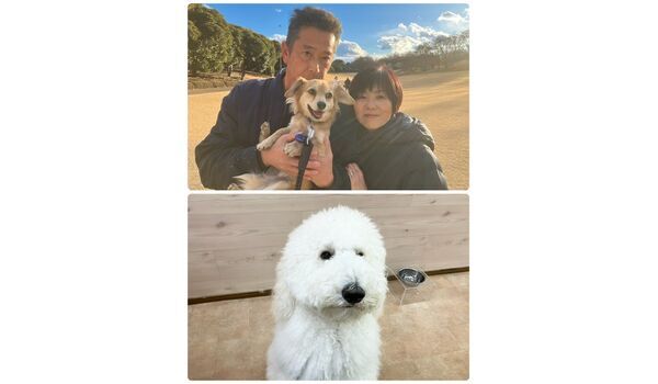 犬のしつけ教室・出張レッスン・無駄吠えの矯正レッスンを行うドッグスクール ヴィッセの今日のわん子達。～1月24日～