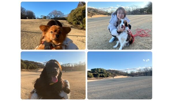犬のしつけ教室・出張レッスン・無駄吠えの矯正レッスンを行うドッグスクール ヴィッセの今日のわん子達。～1月25日～