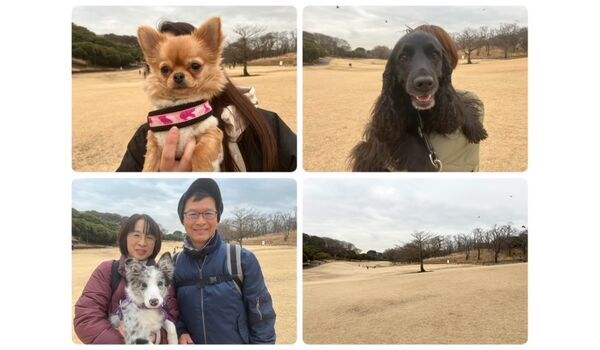 犬のしつけ教室・出張レッスン・無駄吠えの矯正レッスンを行うドッグスクール ヴィッセの今日のわん子達。～2月2日～ 