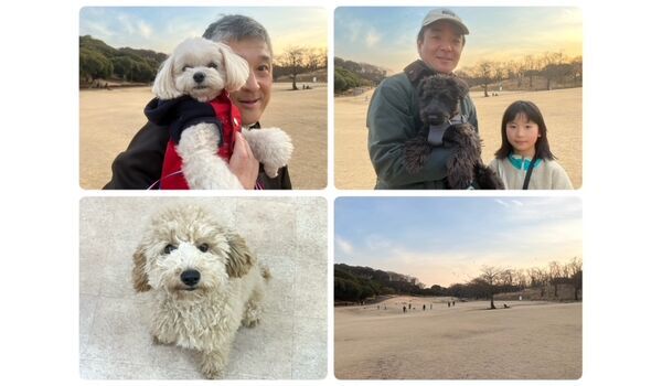 犬のしつけ教室・出張レッスン・無駄吠えの矯正レッスンを行うドッグスクール ヴィッセの今日のわん子達。～2月3日～