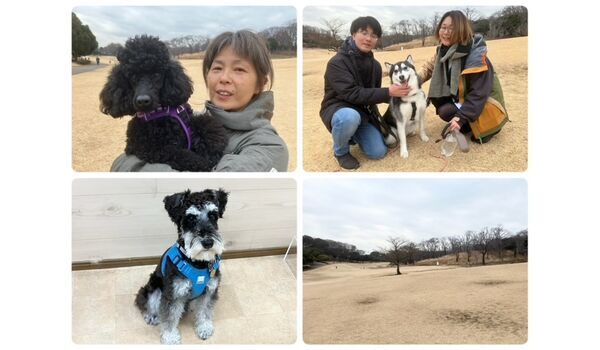 犬のしつけ教室・出張レッスン・無駄吠えの矯正レッスンを行うドッグスクールヴィッセの今日のわん子達。～2月4日～