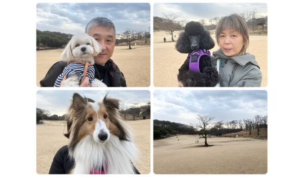 犬のしつけ教室・出張レッスン・無駄吠えの矯正レッスンを行うドッグスクールヴィッセの今日のわん子達です。～2月11日～