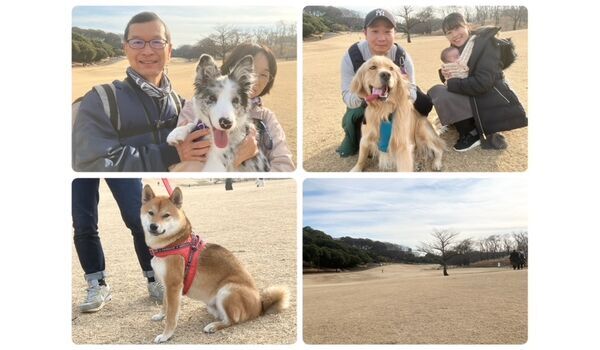 犬のしつけ教室・出張レッスン・無駄吠えの矯正レッスンを行うドッグスクールヴィッセの今日のわん子達です。～2月14日～