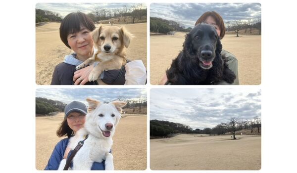 犬のしつけ教室・出張レッスン・無駄吠えの矯正レッスンを行うドッグスクールヴィッセの今日のわん子達です。～2月16日～