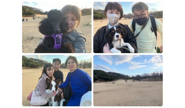 犬のしつけ教室・出張レッスン・無駄吠えの矯正レッスンを行うドッグスクールヴィッセの今日のわん子達です。～2月18日～
