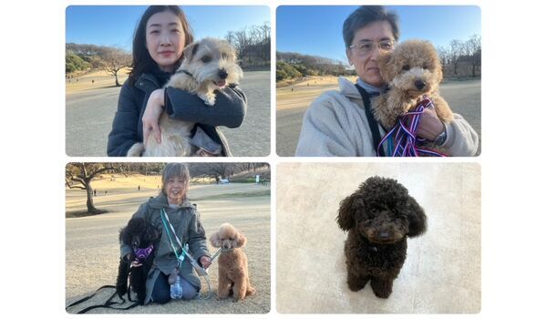 犬のしつけ教室・出張レッスン・無駄吠えの矯正レッスンを行うドッグスクールヴィッセの今日のわん子達。～3月3日～