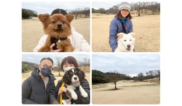 犬のしつけ教室・出張レッスン・無駄吠えの矯正レッスンを行うドッグスクールヴィッセの今日のわん子達。～3月7日～