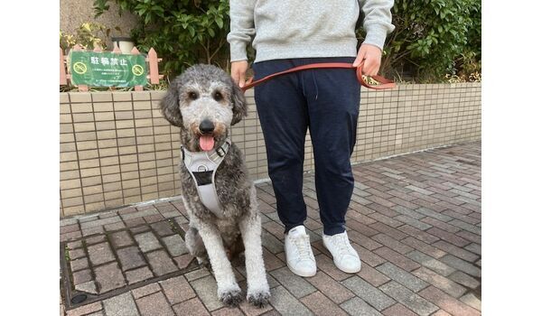 犬のしつけ教室・出張レッスン・無駄吠えの矯正レッスンを行うドッグスクールヴィッセ出張レッスンin武蔵中原～3月8日～