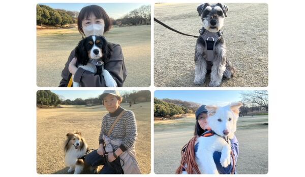 犬のしつけ教室・出張レッスン・無駄吠えの矯正レッスンを行うドッグスクールヴィッセの今日のわん子達。～3月14日～