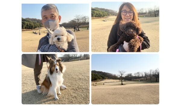 犬のしつけ教室・出張レッスン・無駄吠えの矯正レッスンを行うドッグスクールヴィッセの今日のわん子達。～3月16日～