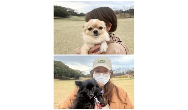 犬のしつけ教室・出張レッスン・無駄吠えの矯正レッスンを行うドッグスクールヴィッセの今日のわん子達。～3月28日～