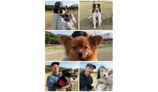 犬のしつけ教室・出張レッスン・無駄吠えの矯正レッスンを行うドッグスクールヴィッセの今日のわん子達。～3月31日～