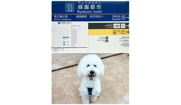 出張レッスンin緑園都市＆教室レッスン　～5月3日～
